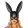  Masquerade Rabbit Mask Black Mask/Blindfold/Headgear